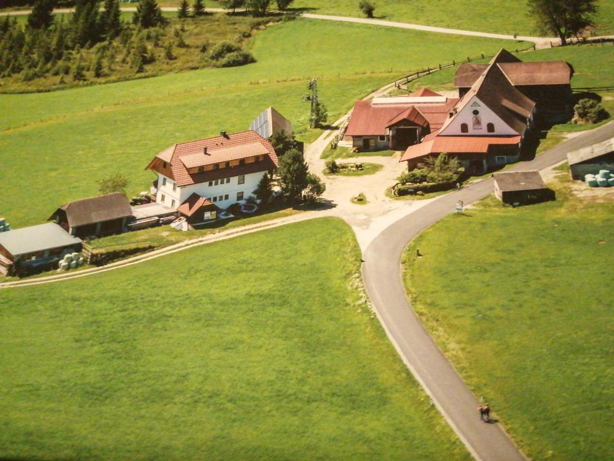 Villa Erholung am Bauernhof bei Familie Seidl / Messner Zeutschach Exterior foto