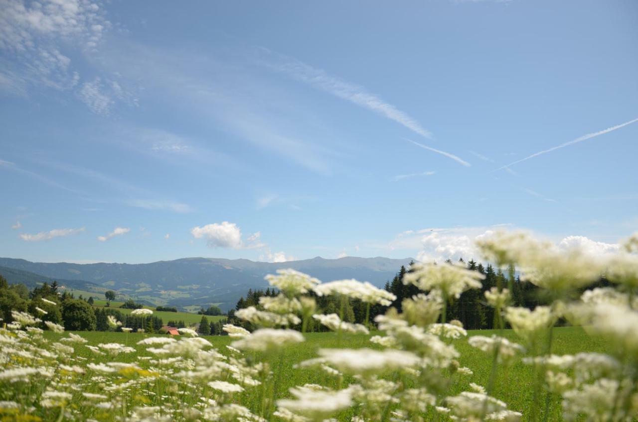 Villa Erholung am Bauernhof bei Familie Seidl / Messner Zeutschach Exterior foto