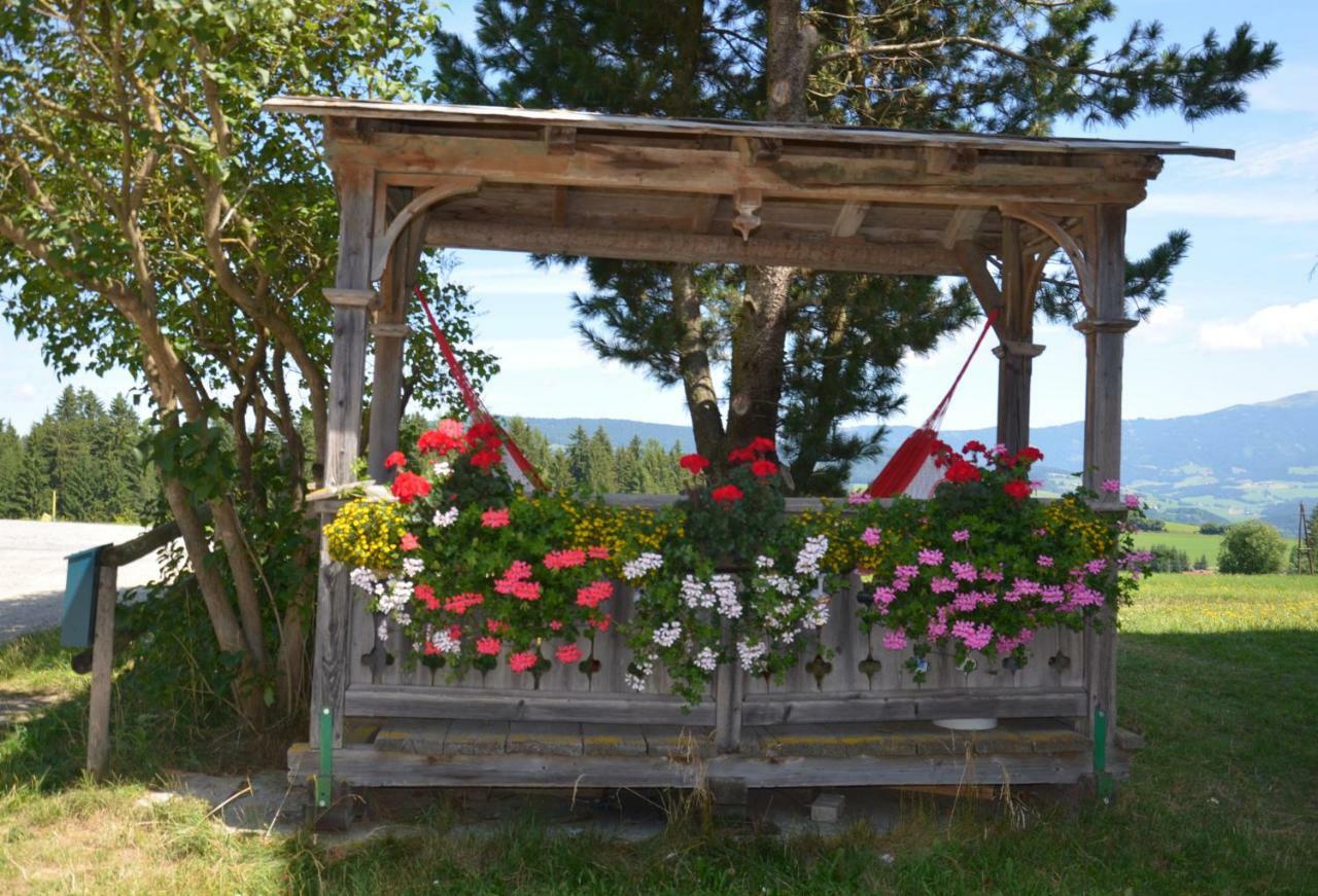 Villa Erholung am Bauernhof bei Familie Seidl / Messner Zeutschach Exterior foto